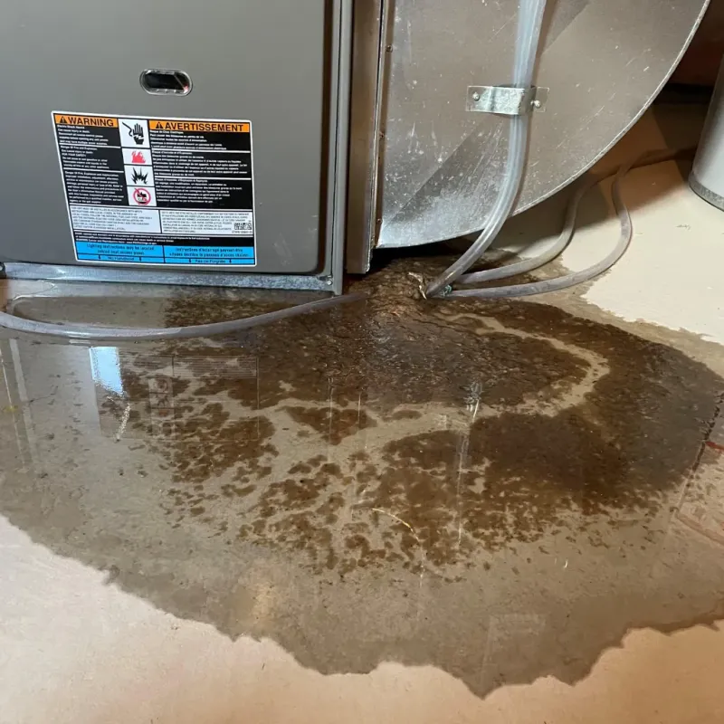 Appliance Leak Cleanup in Upshur County, TX